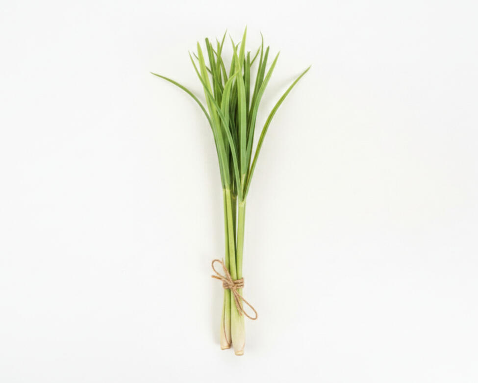 Lemongrass